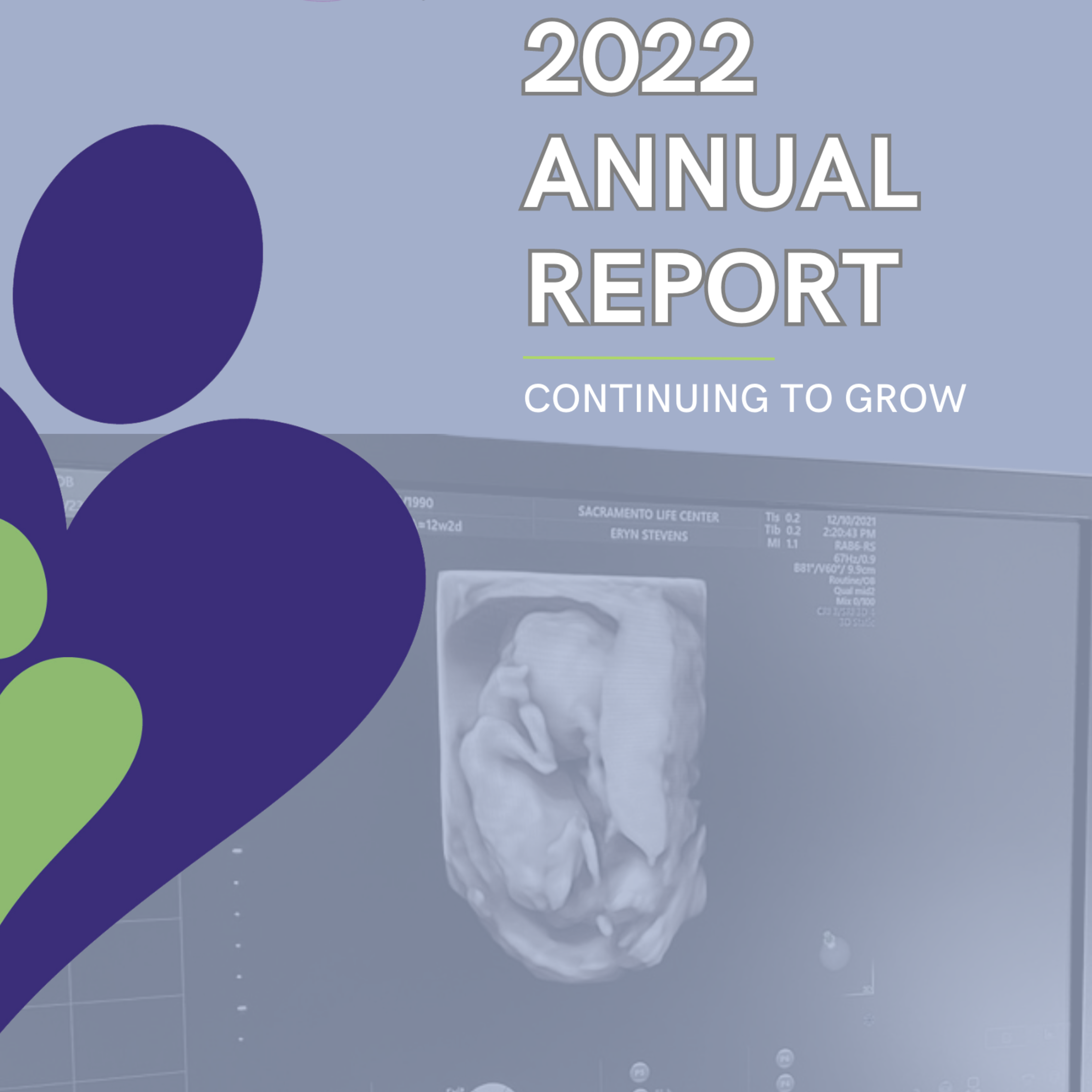 2022.annual.report3 13